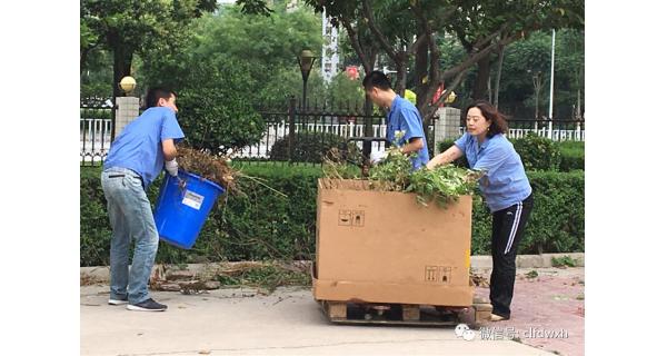 ▌長嶺紡電新聞 ▌迎接國衛(wèi)復審，長嶺紡電在行動！ ——長嶺紡電公司黨總支組織愛衛(wèi)義務勞動